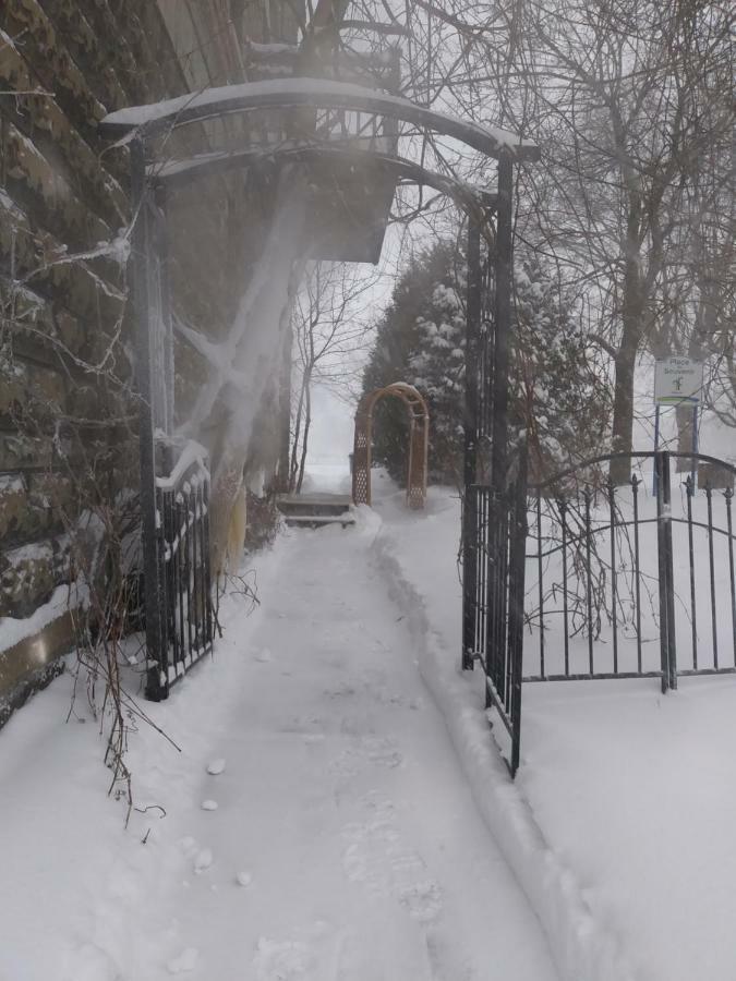 Vieux-Old Farnham Appart-Condotel エクステリア 写真